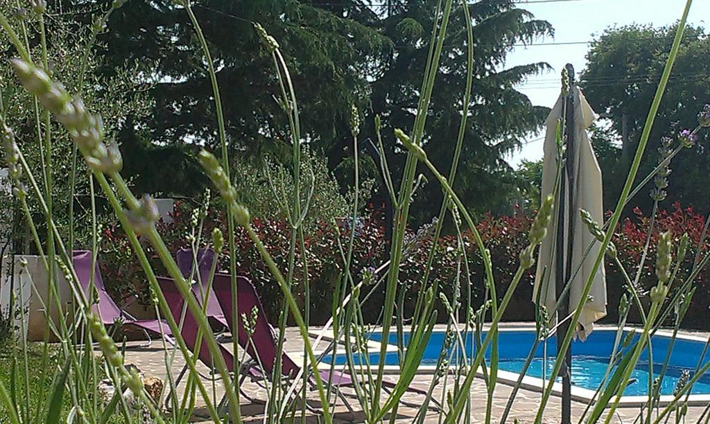 Nina With Private Pool Near Ferienhaus *